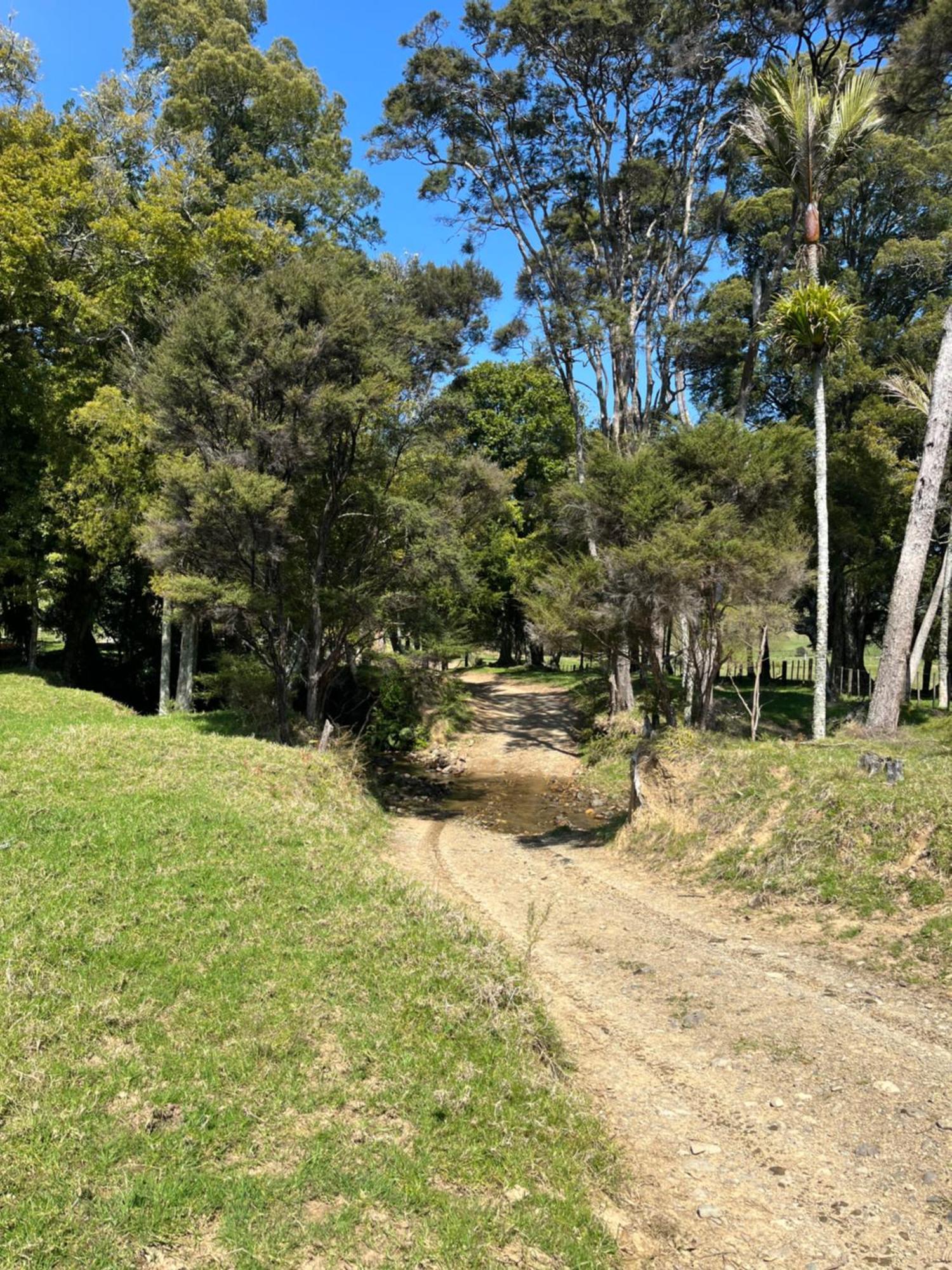 White Star Station Farm Holiday Park Coromandel Exterior foto