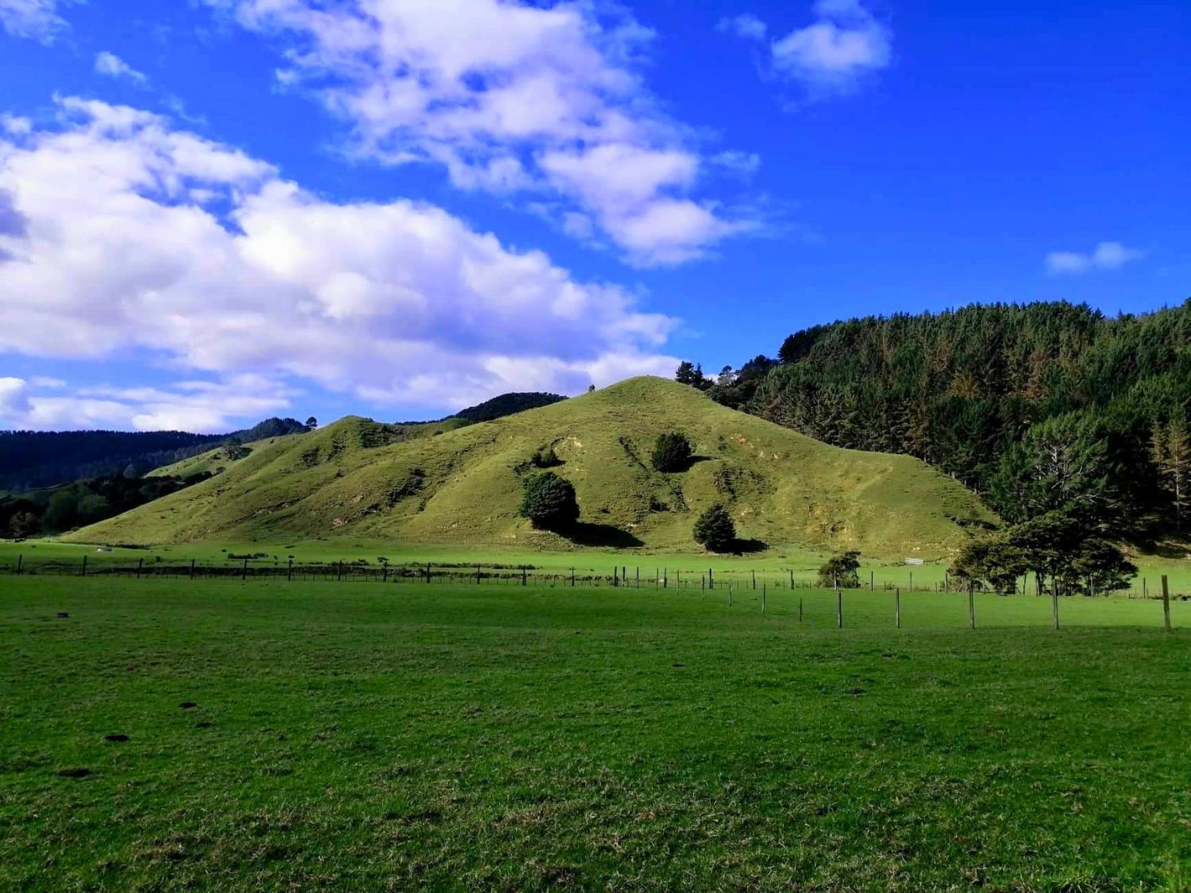 White Star Station Farm Holiday Park Coromandel Exterior foto